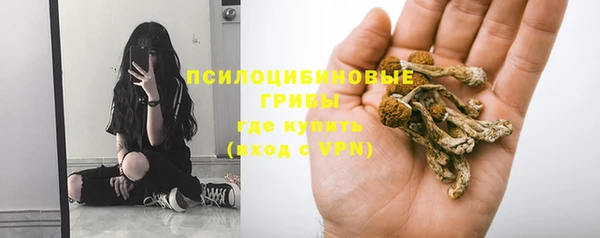 мескалин Баксан
